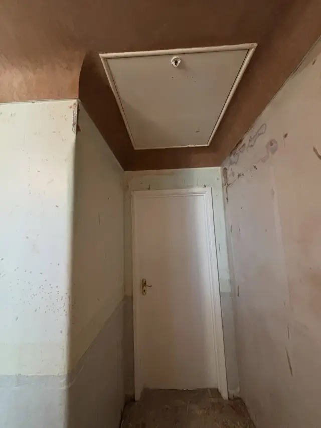 Close-up of plaster materials and supplies